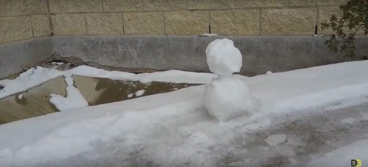 Snow day at TJC