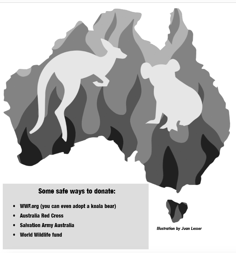 Column: Australia fires damage country, endanger species