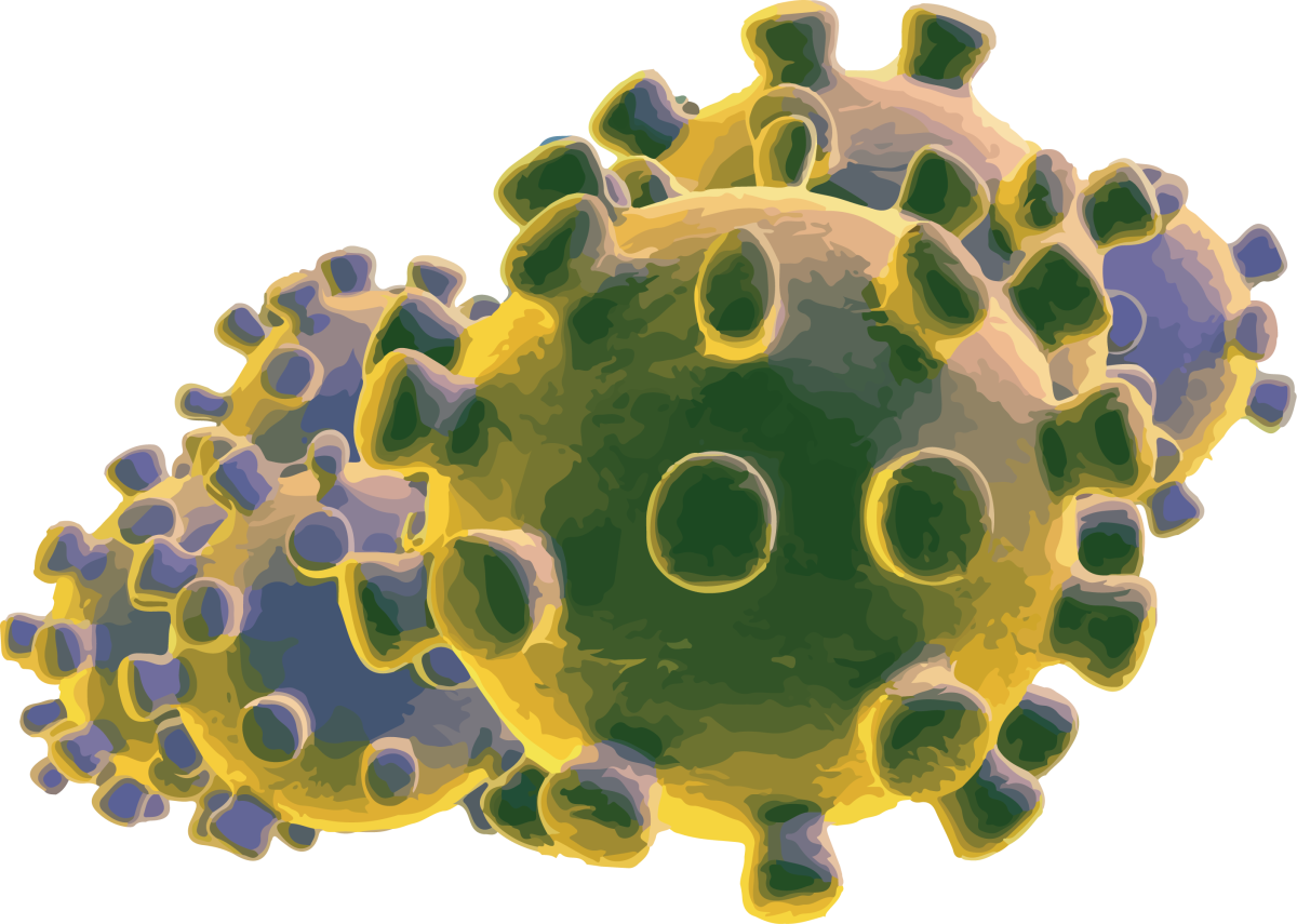 Spring break 2.0: Creating a makeshift homeschool during the Coronavirus quarantine