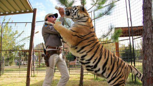 Tiger King
Photo Courtesy of Netflix
