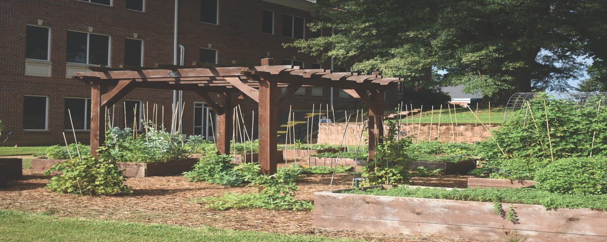 Campus garden provides oasis, learning opportunities