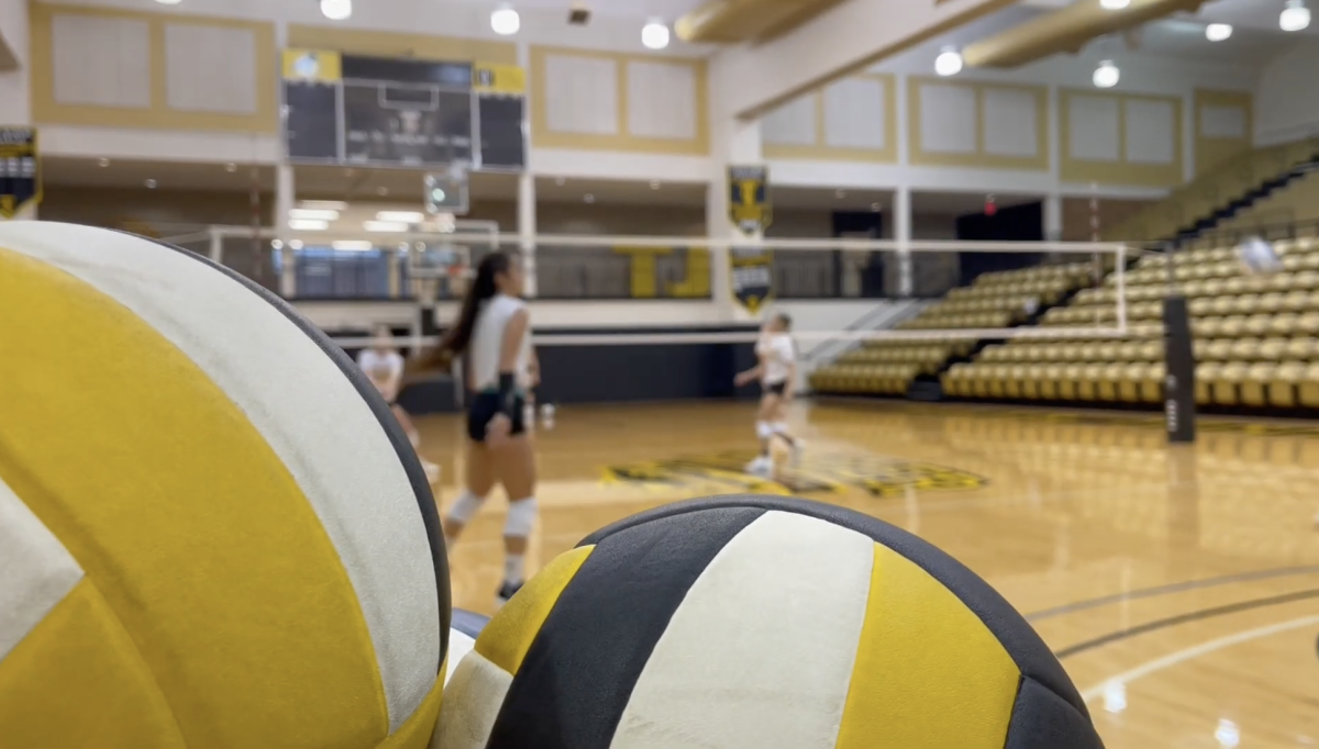 Volleyball and volleyball court