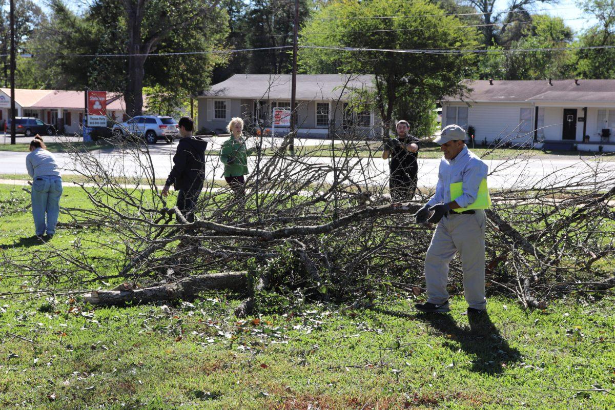 students and a faculty member cleaning up branches