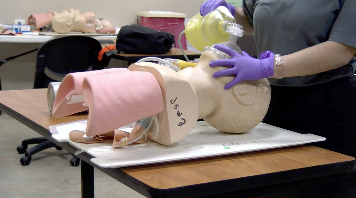a model of a lung