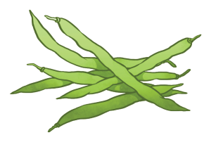 clipart of string green beans