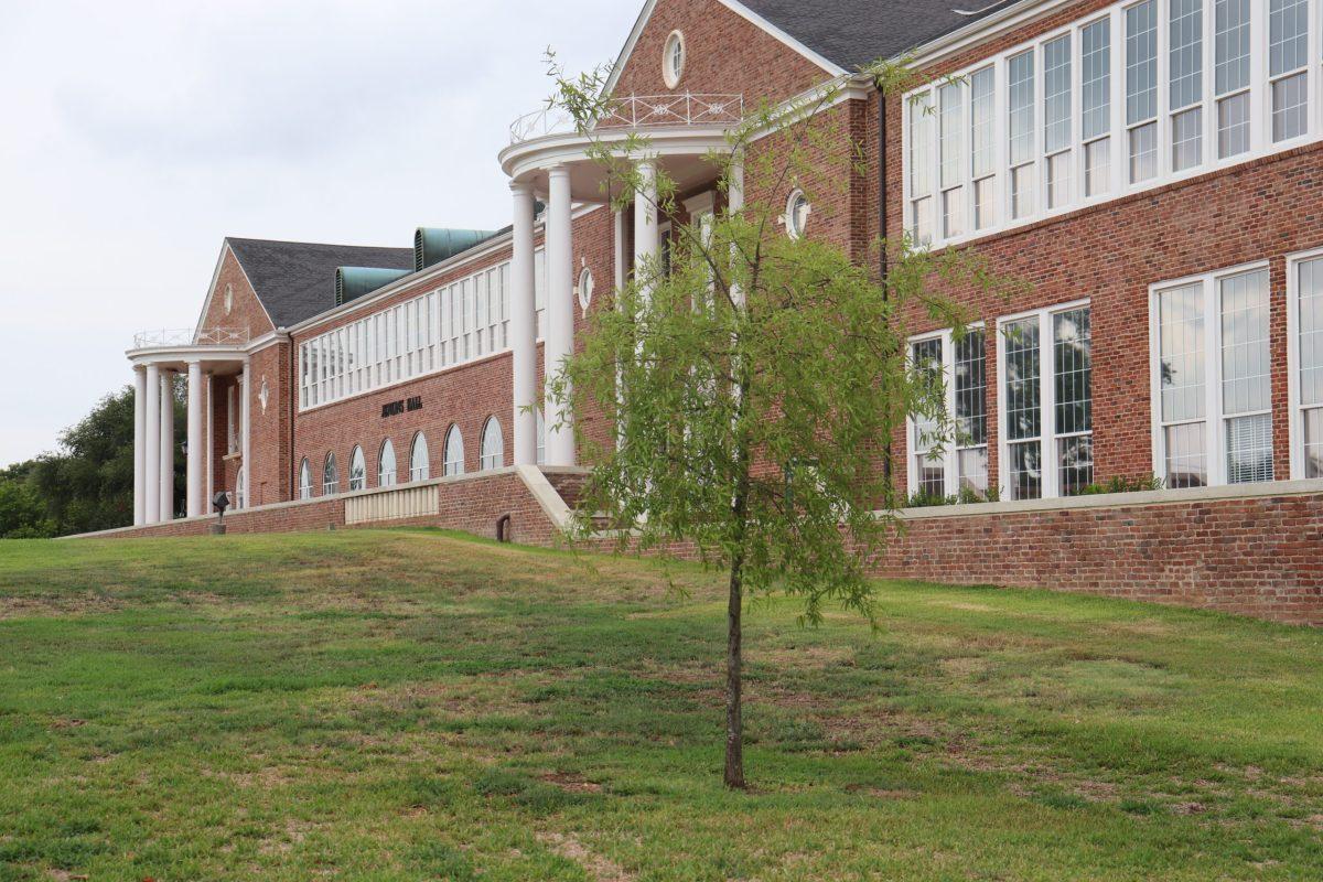 Trees removed following safety concern