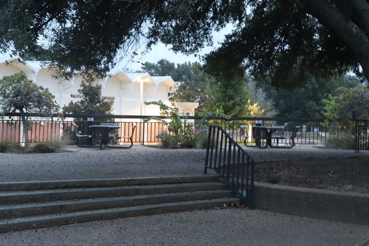 Spots to hit the books on-campus