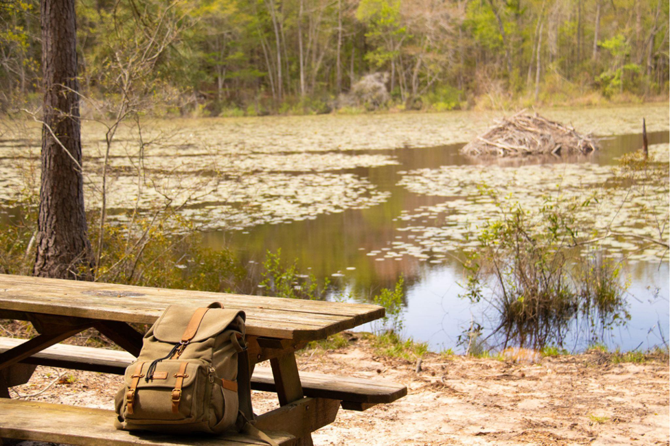 Photo essay: Getting out and staying active