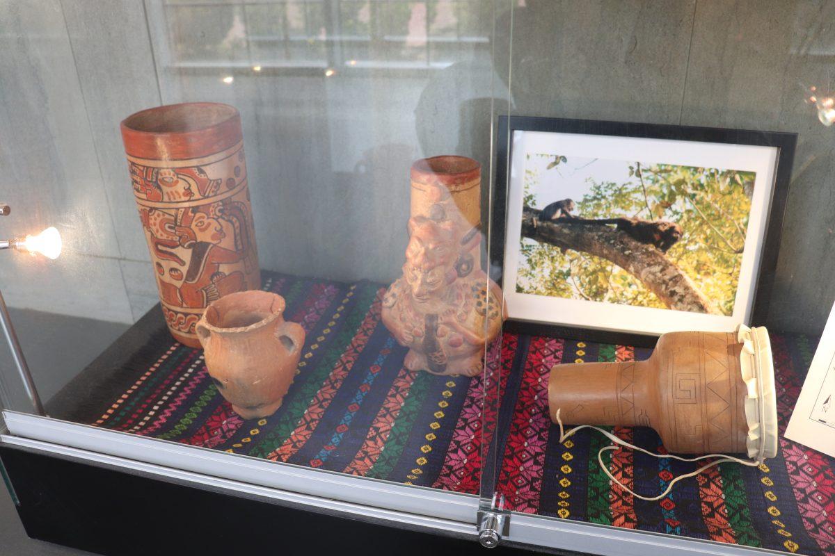 Student Senate officially recognizes History and Archeology Club