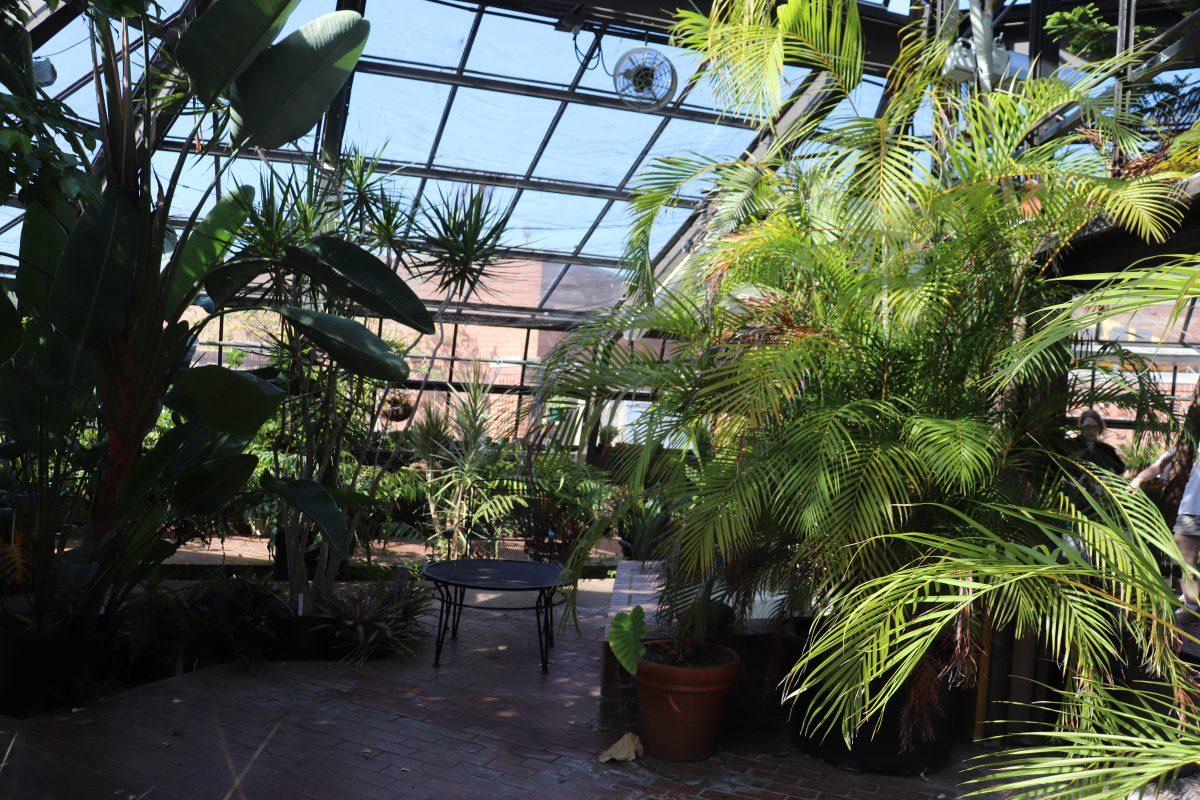 Garden club sprouts green thumbs