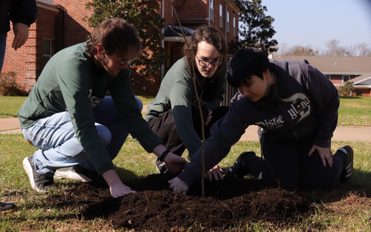 Throughout campus 50 new trees were planted with the help of organizations, facilities and student volunteers.